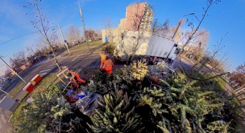 Budapesten szervezetten, környezetbarát módon hasznosítják az ünnepek után begyűjtött sokszázezer karácsonyfát